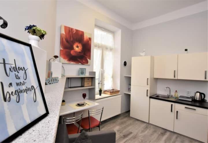 Studio W Sercu Miasta Przemyśl Exterior foto